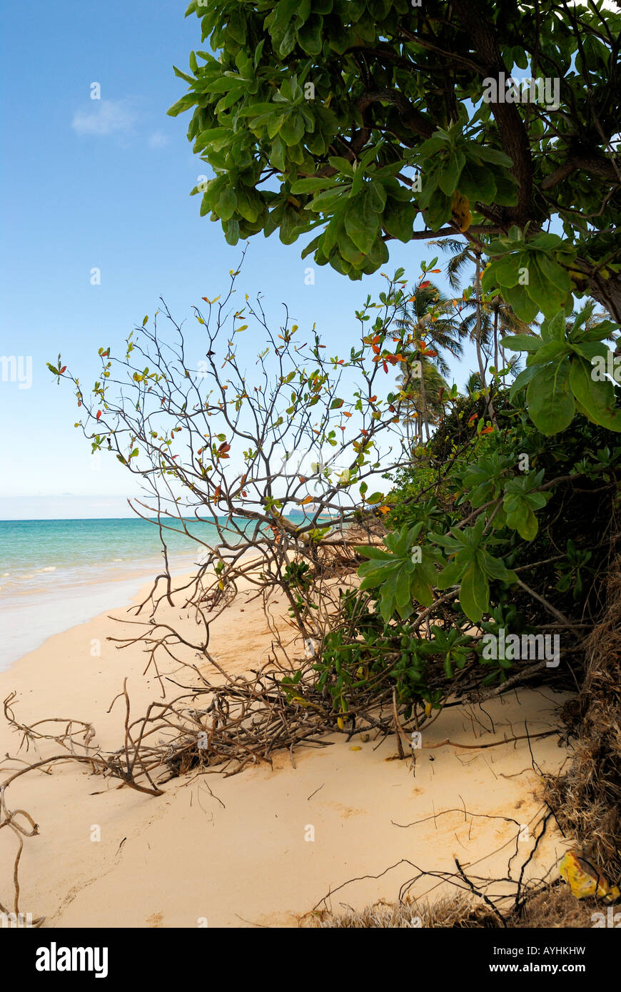 Lanikai Beach sur l'île de O'ahu Banque D'Images