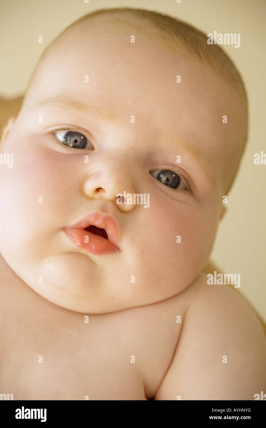Un Gros Plan D Un Bebe Adorablement Chubby Avec De Grandes Levres Et Des Yeux Bleus Photo Stock Alamy Un Gros Plan D Un Bebe Adorablement Chubby Avec De Grandes Levres Et Des Yeux Bleus Photo Stock Alamy