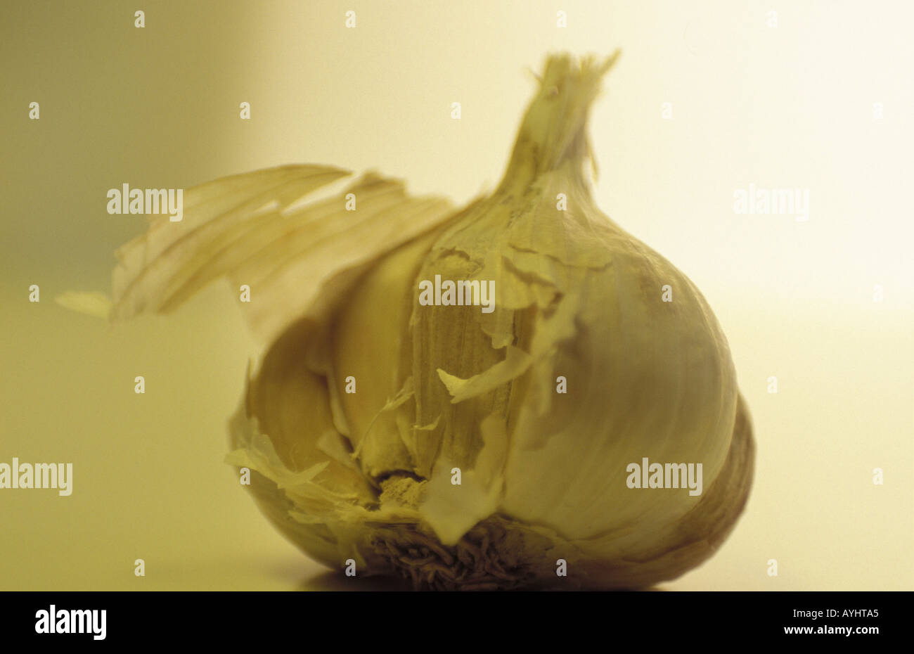 Knoblauch Banque D'Images