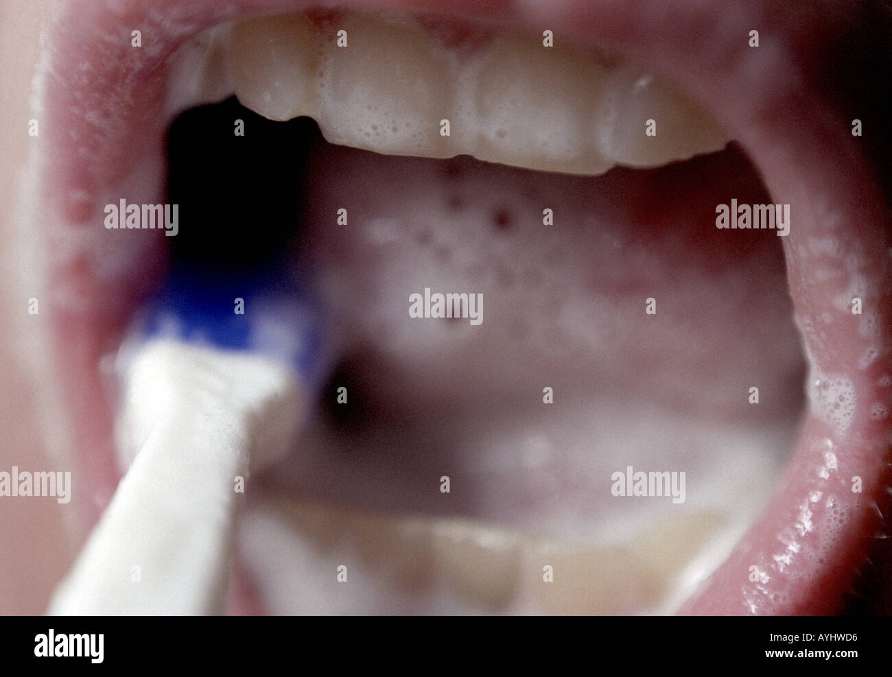 Site Zaehne Banque D'Images