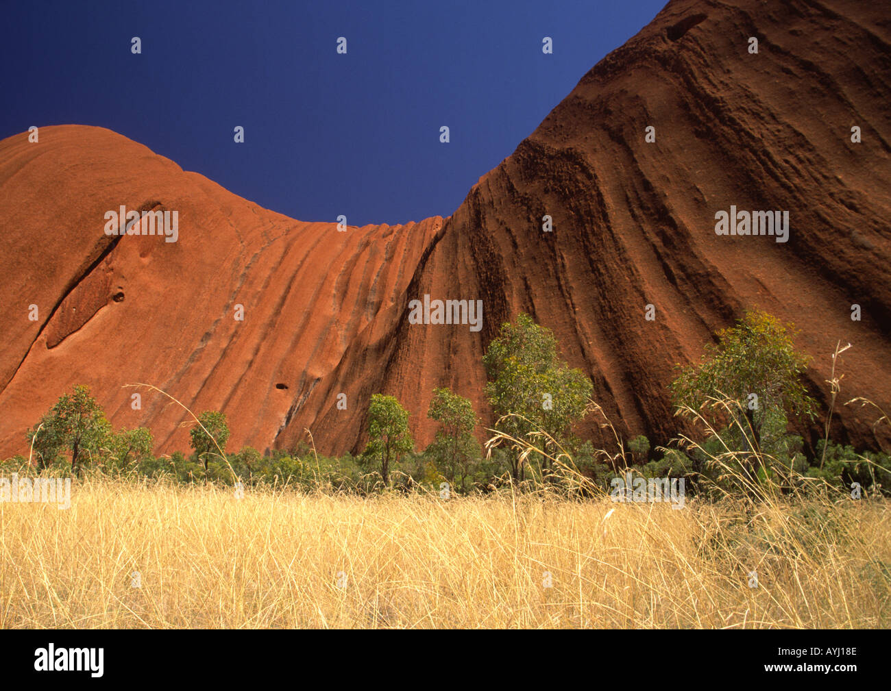 Uluru, dans le Territoire du Nord, Australie Banque D'Images
