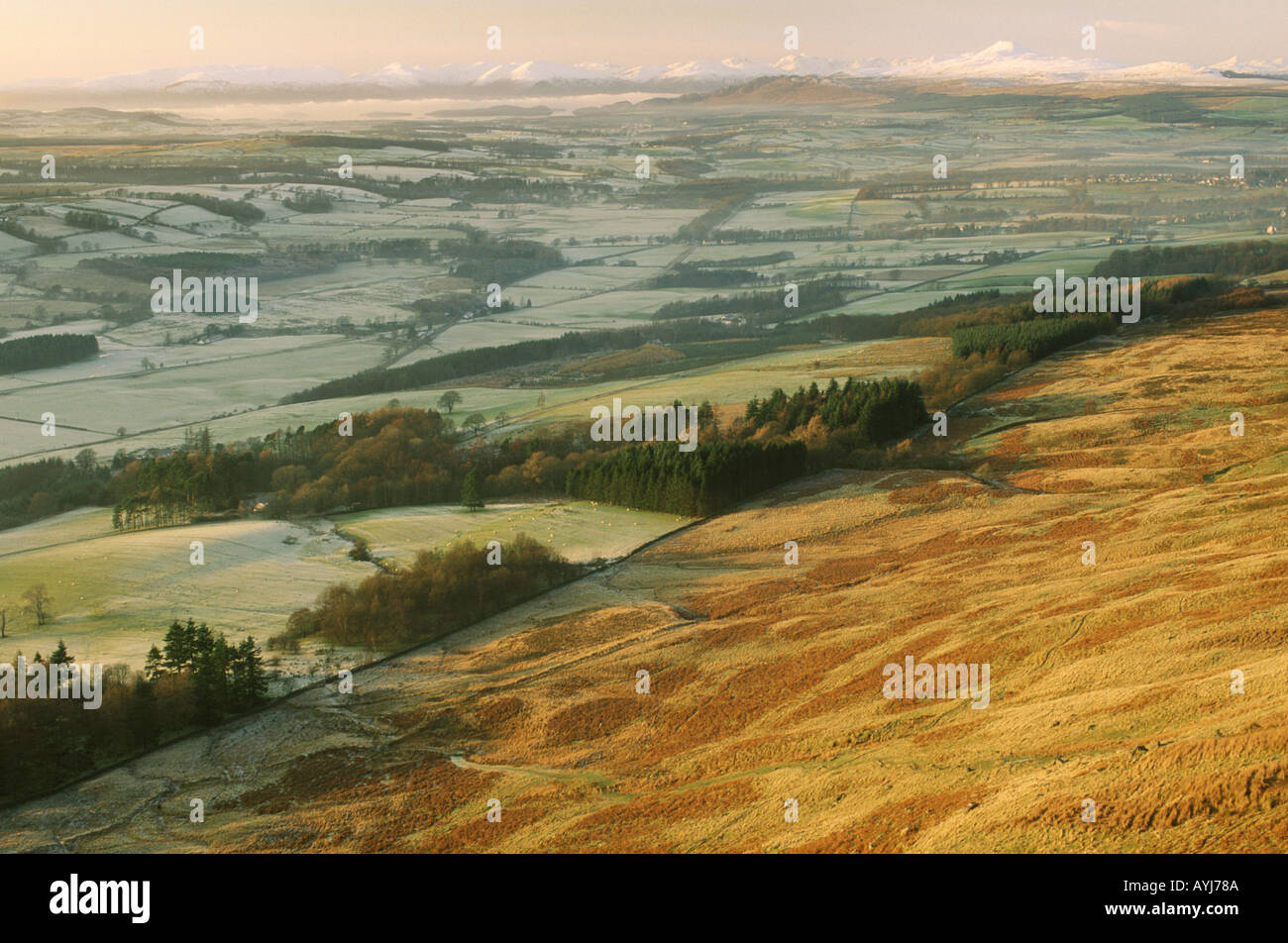 Vue de Loch Lomond, à partir de la colline Dumgoyne Campsies Blanefield Stirlingshire Scotland UK Banque D'Images
