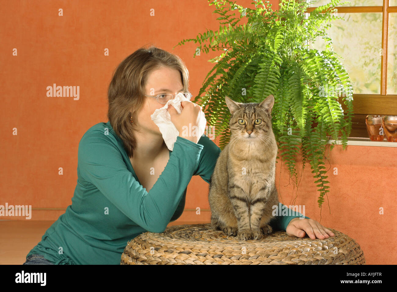 Femme et chat domestique - chat allergie Banque D'Images