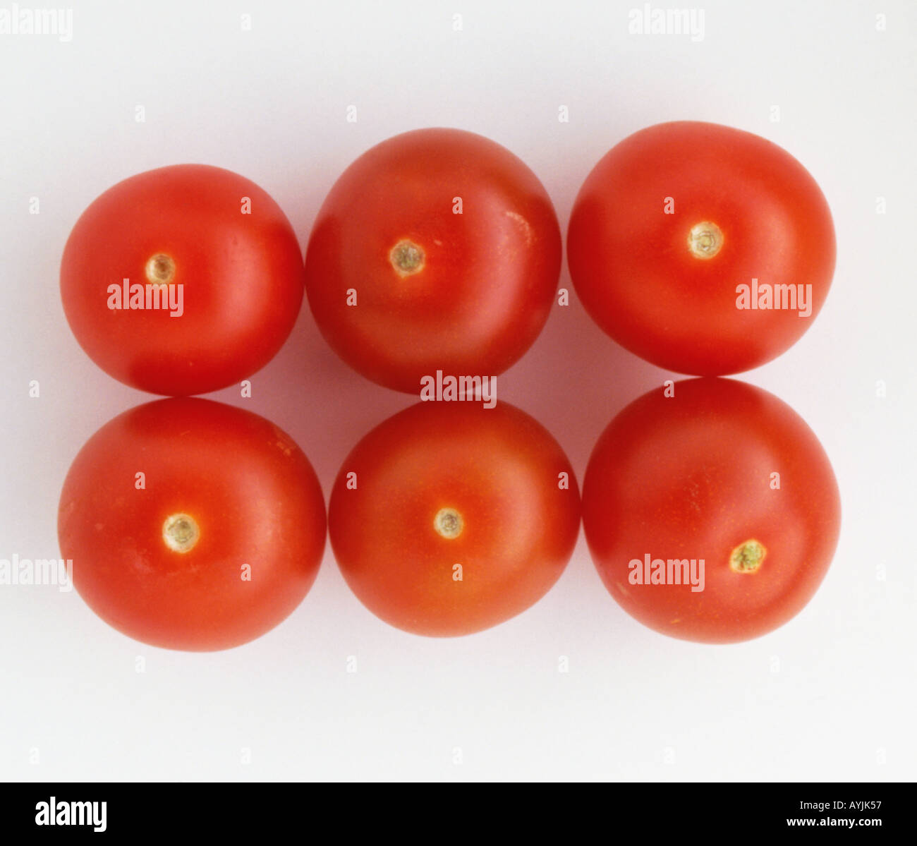 6 tomates de vigne Banque D'Images