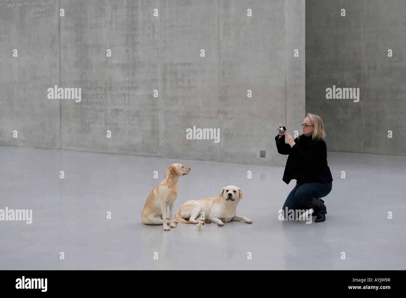 Museum Kunsthaus Bregenz construit par l'architecte suisse Peter Zumthor photo montre une exposition de Maurizio Cattelan Banque D'Images