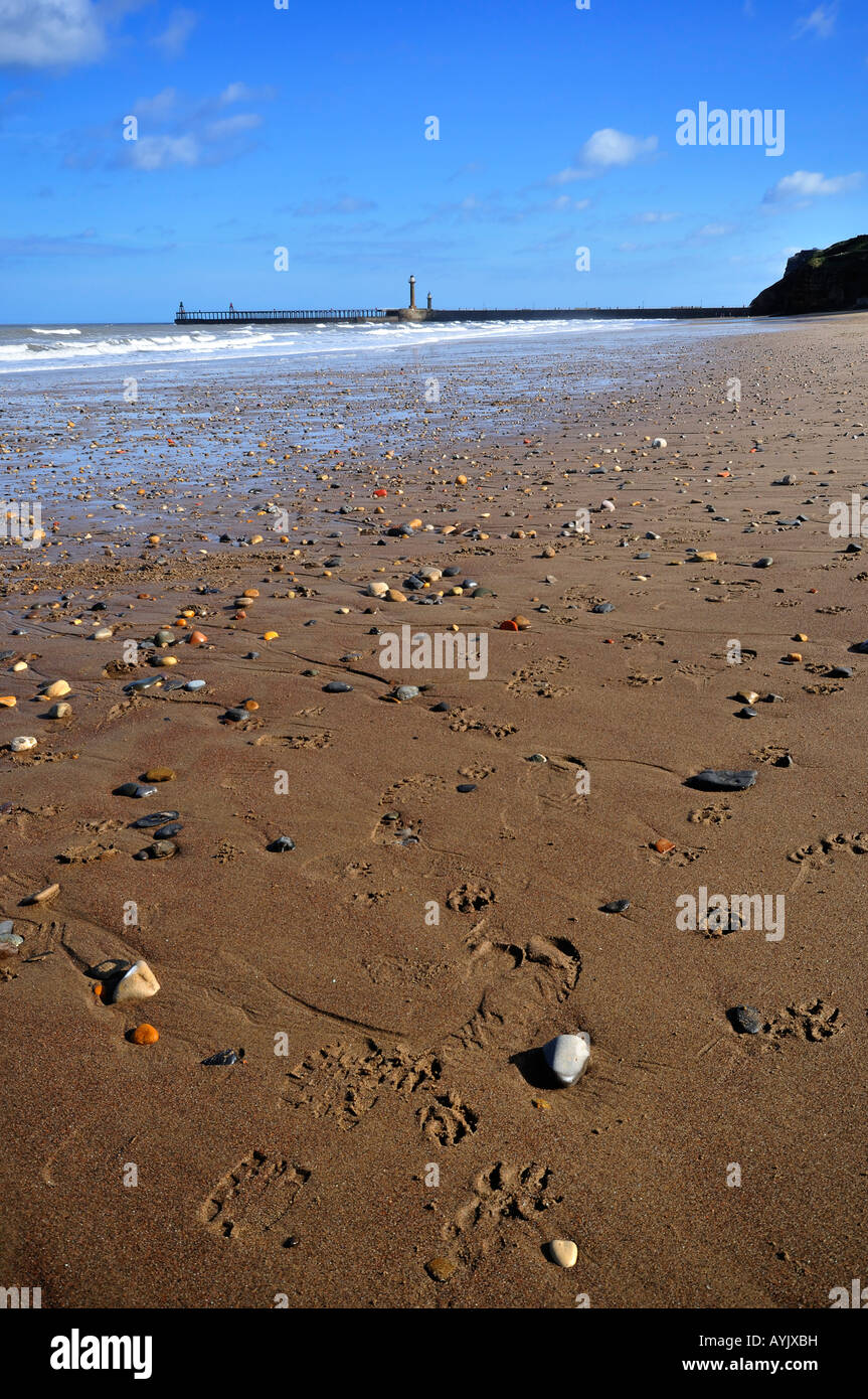 Dans des conditions de faible et de prise de vue au grand angle de Whitby beach Banque D'Images