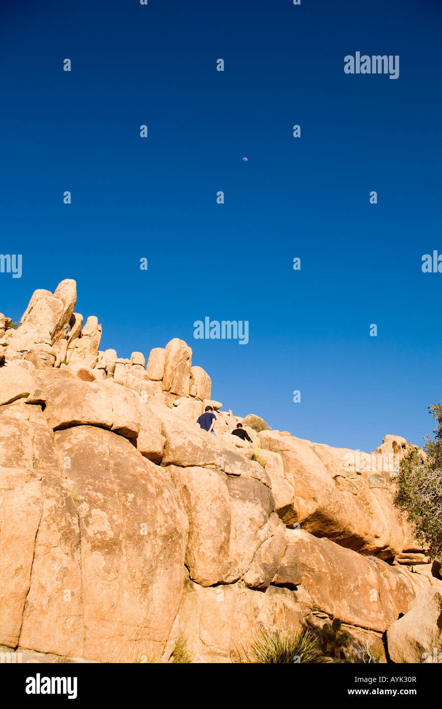 Joshua Tree National Park California randonnées Vallée Cachée Banque D'Images