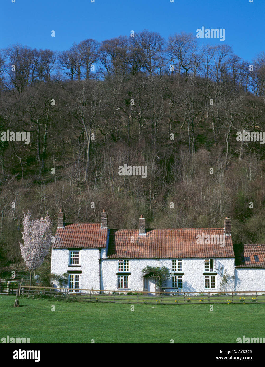 Cottage en pierre blanchie à la chaux, rievaulx village, le seigle dale, près de Helmsley, North York Moors, North Yorkshire, Angleterre, Royaume-Uni. Banque D'Images