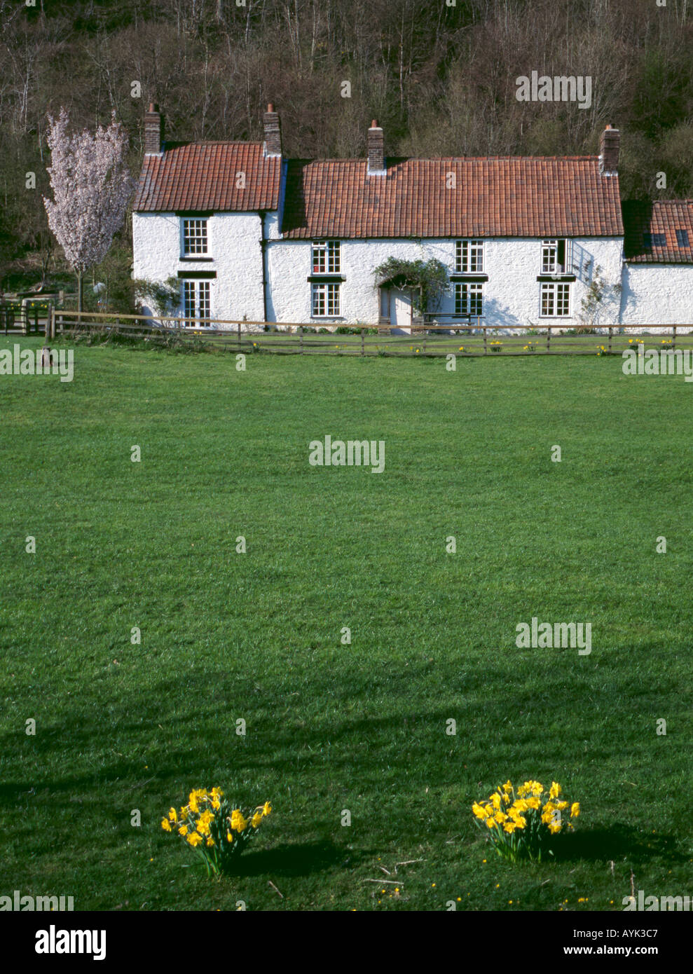 Cottage en pierre blanchie à la chaux, rievaulx village, le seigle dale, près de Helmsley, North York Moors, North Yorkshire, Angleterre, Royaume-Uni. Banque D'Images