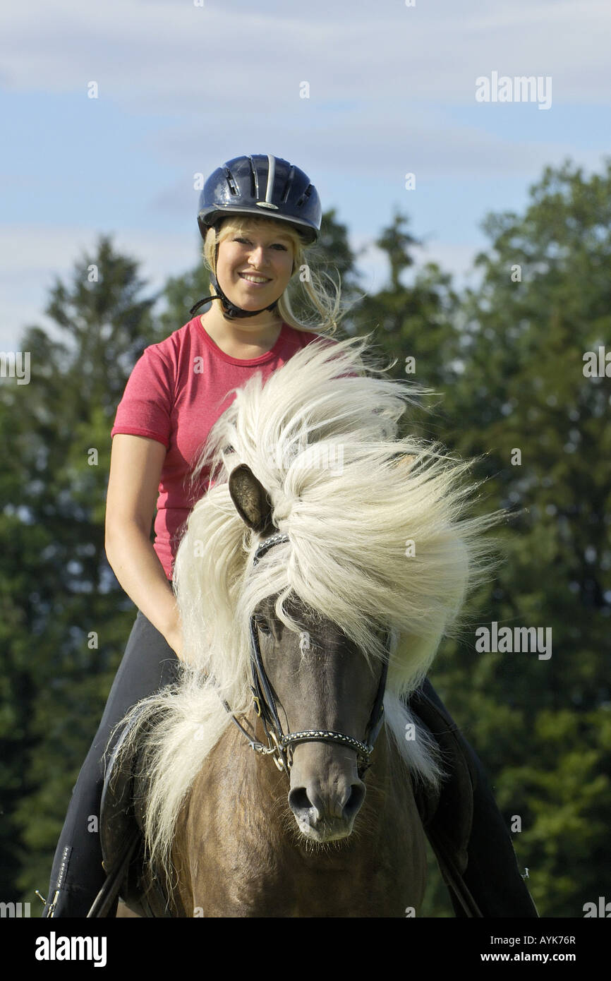 Jeune femme prenant l'Icelandic Horse stallion Banque D'Images