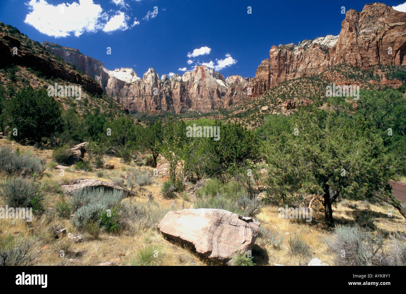 Le parc national de Zion - Utah - USA Banque D'Images