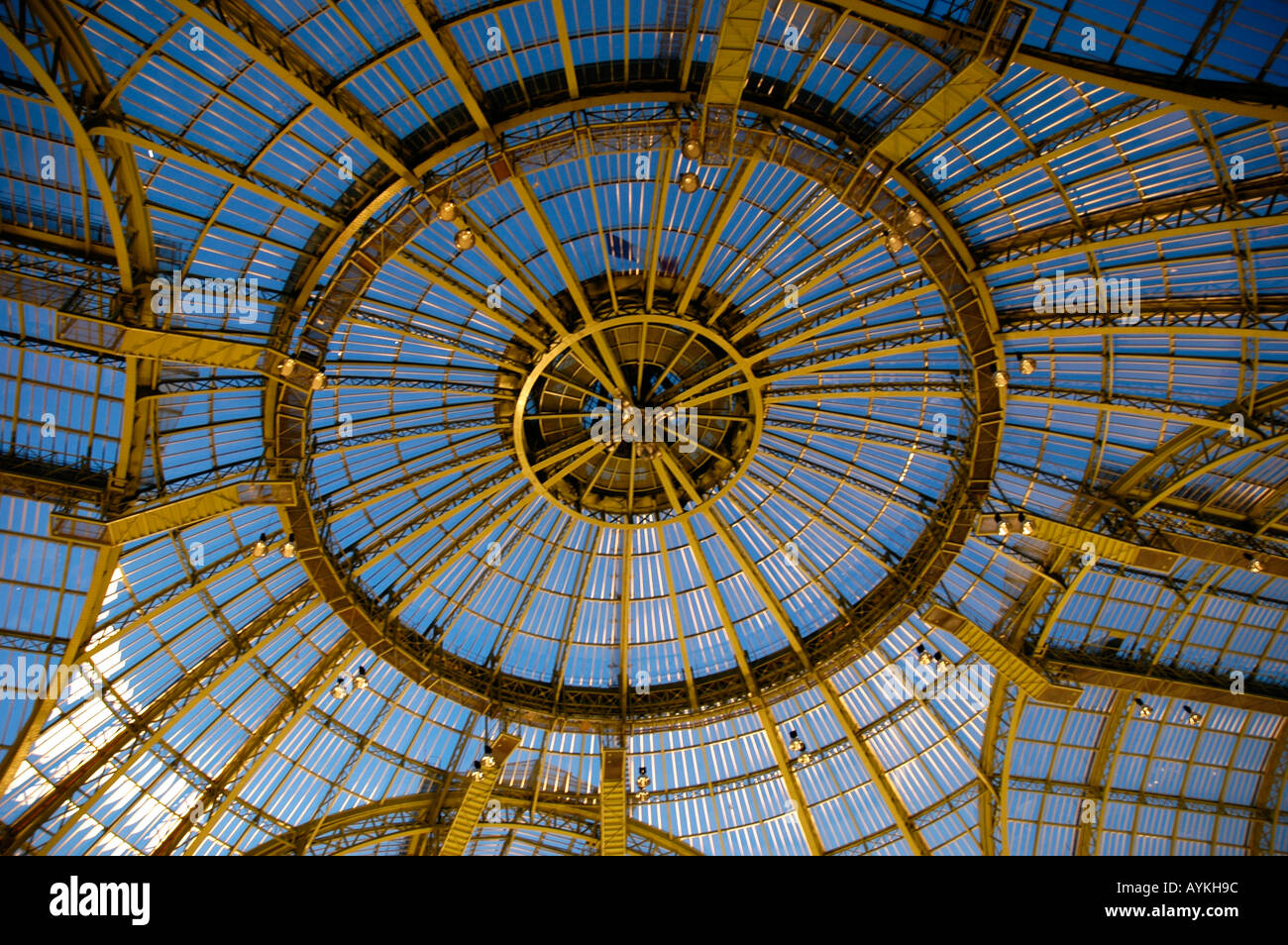 Grand Palais Paris France toit en verre Photo Stock - Alamy