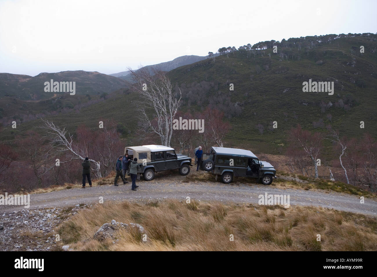 Les observateurs de la faune et de Land Rover en Alladale Estate, Ecosse Banque D'Images