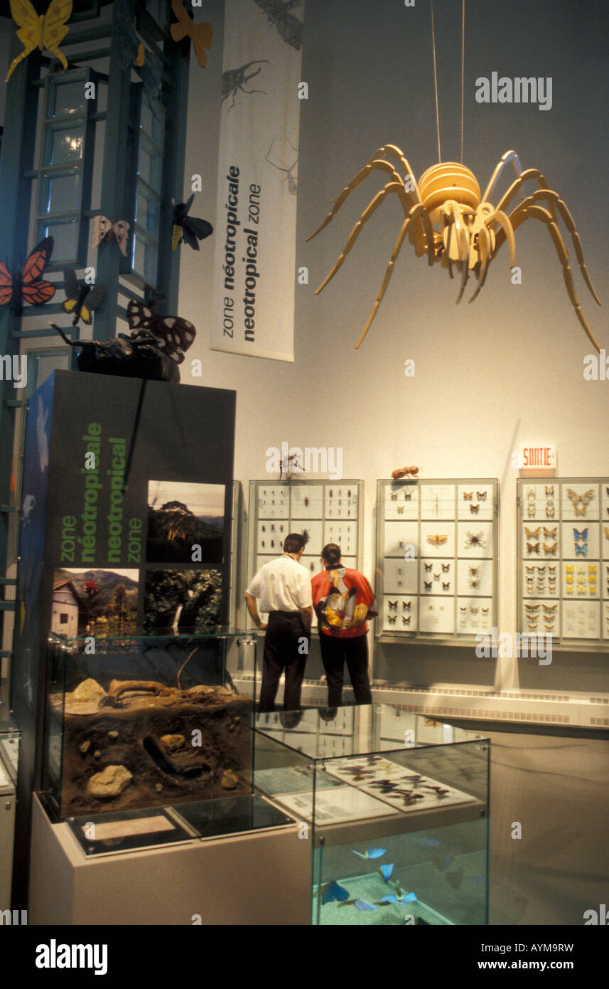 Les visiteurs qui cherchent à s'affiche dans l'Insectarium de Montréal situé dans le Jardin botanique de Montréal, Montréal, Québec, Canada Banque D'Images