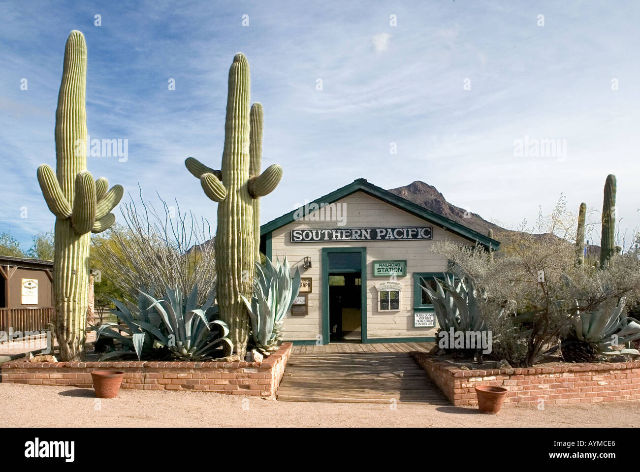 Tucson Studios terminal Pacific Sud et réplique du vrai cactus Saguaro Arizona USA Banque D'Images