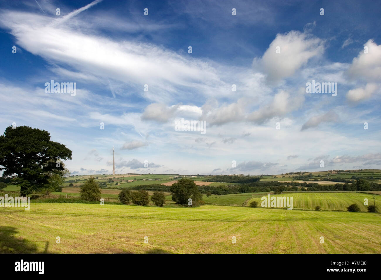 La télévision Emley Moor Lane Skelmanthorpe Busker de mât West Yorkshire Angleterre Banque D'Images