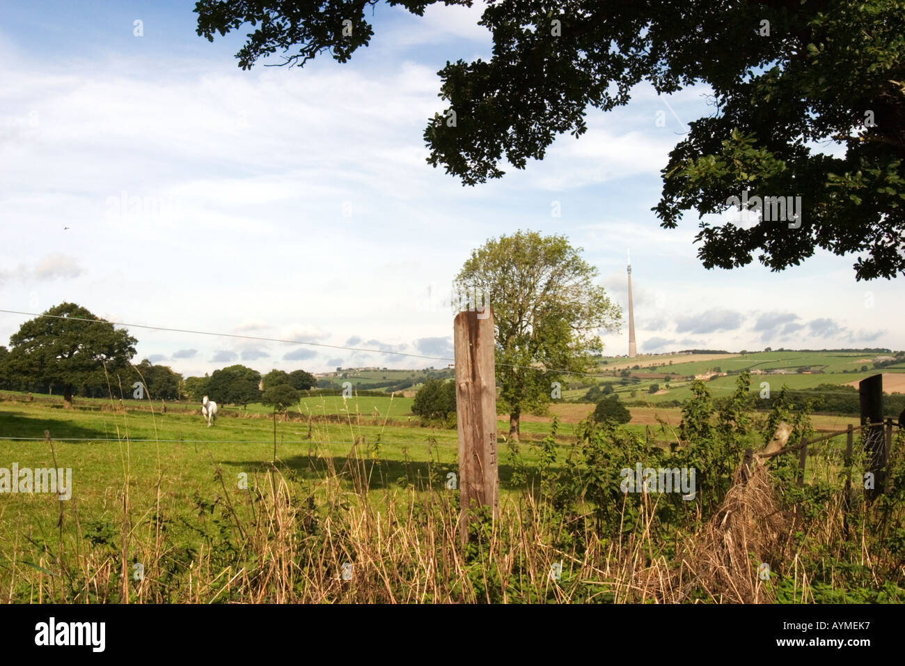 La télévision Emley Moor Lane Skelmanthorpe Busker de mât West Yorkshire Angleterre Banque D'Images