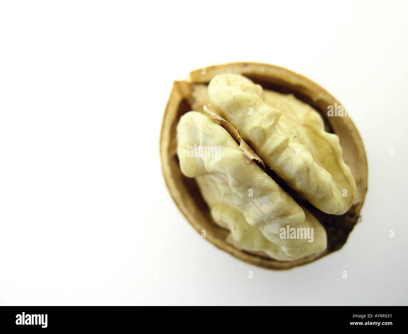 Geoeffnete Walnuss Banque D'Images