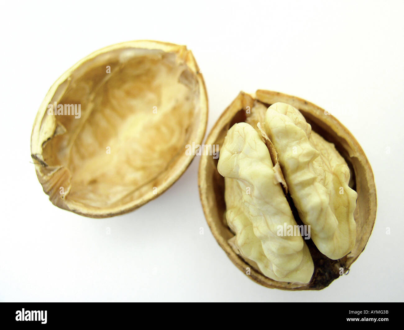 Geoeffnete Walnuss Banque D'Images