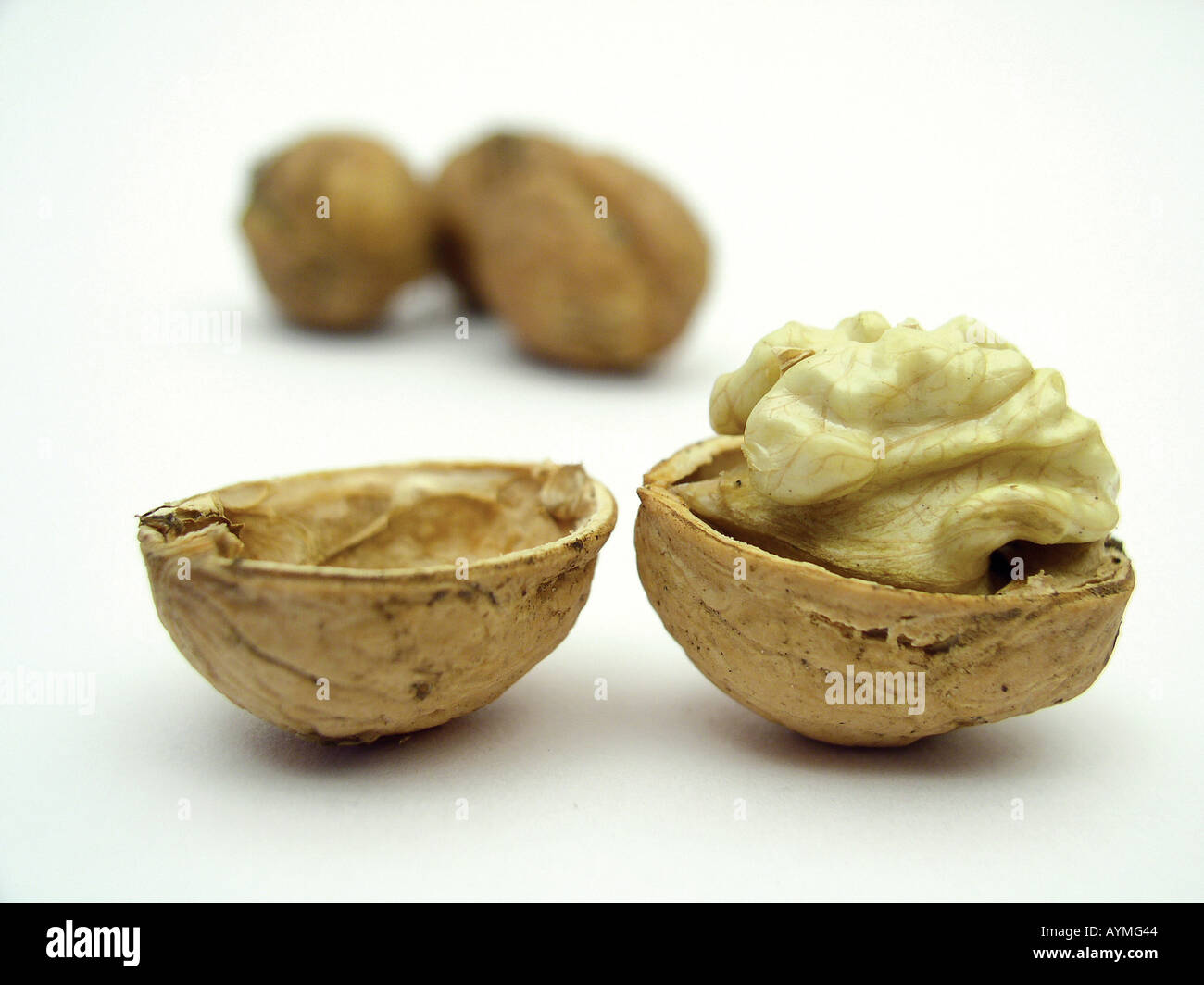 Geoeffnete Walnuss Banque D'Images