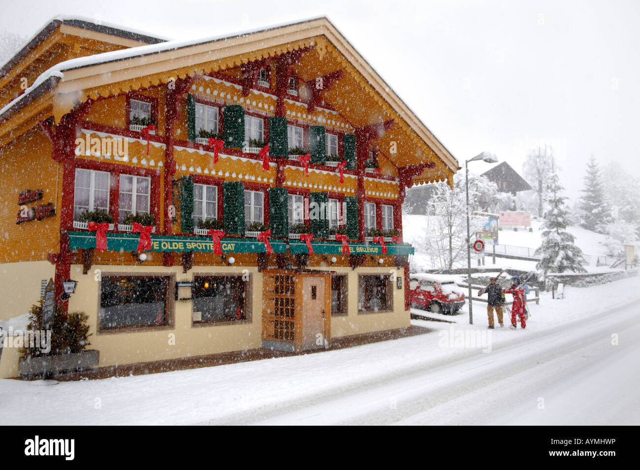 Hotel Club et vous serez vieux bar félin tacheté dans beaucoup de neige de l'automne - Grindelwald - Brenese Alpes Suisses Banque D'Images