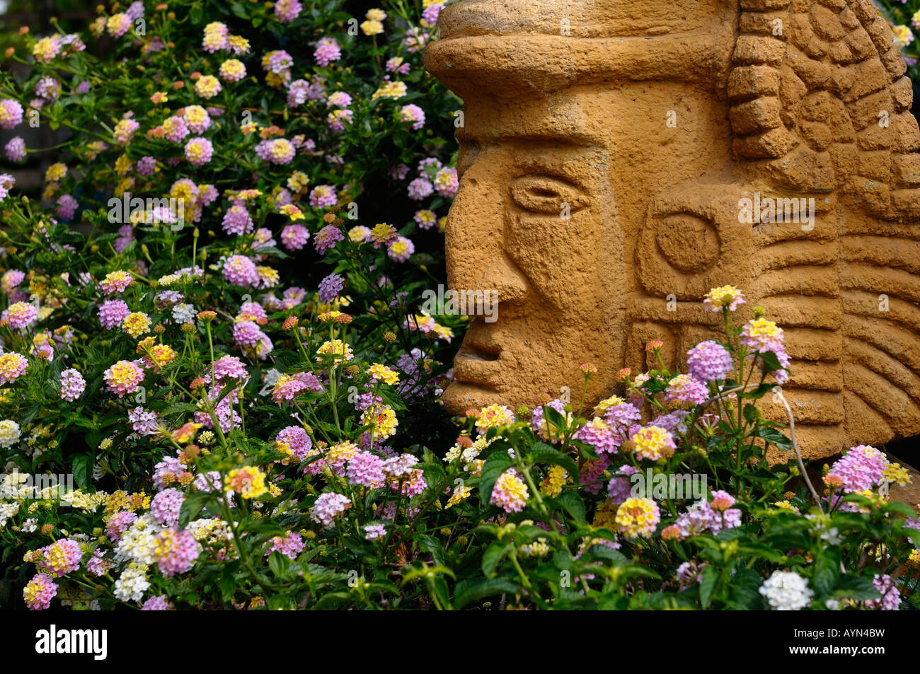 Xochipilli Dieu aztèque de fleurs tête en pierre situé entre les fleurs au Costa Rica Banque D'Images