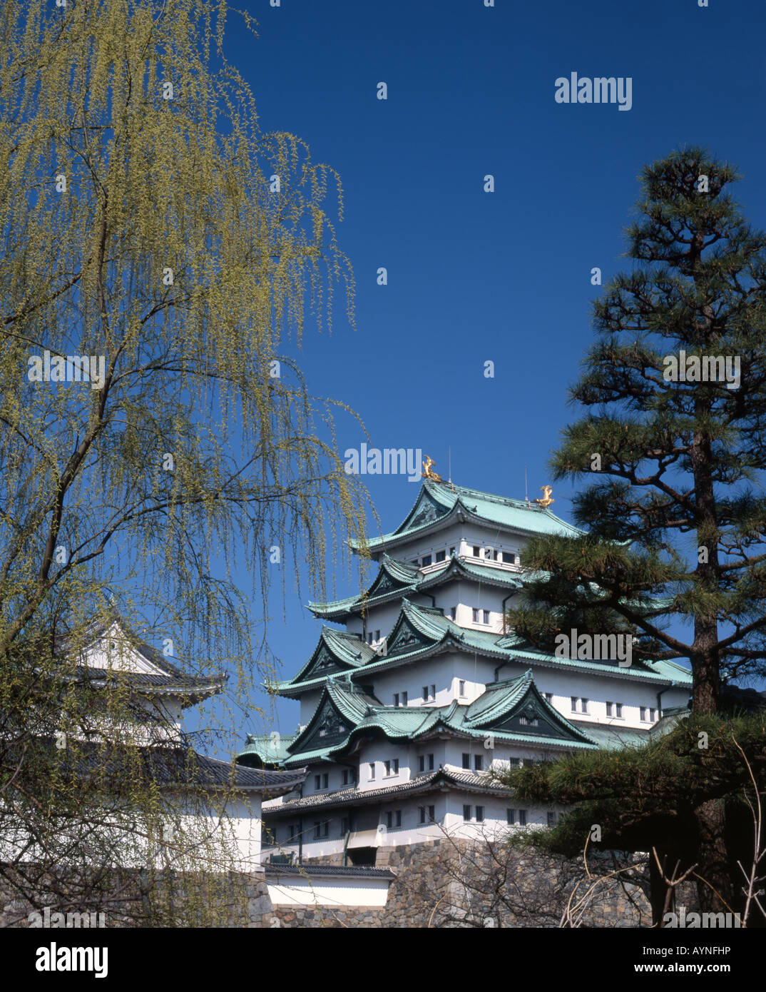 Château de Nagoya, Aichi Prefecture, Japan Banque D'Images