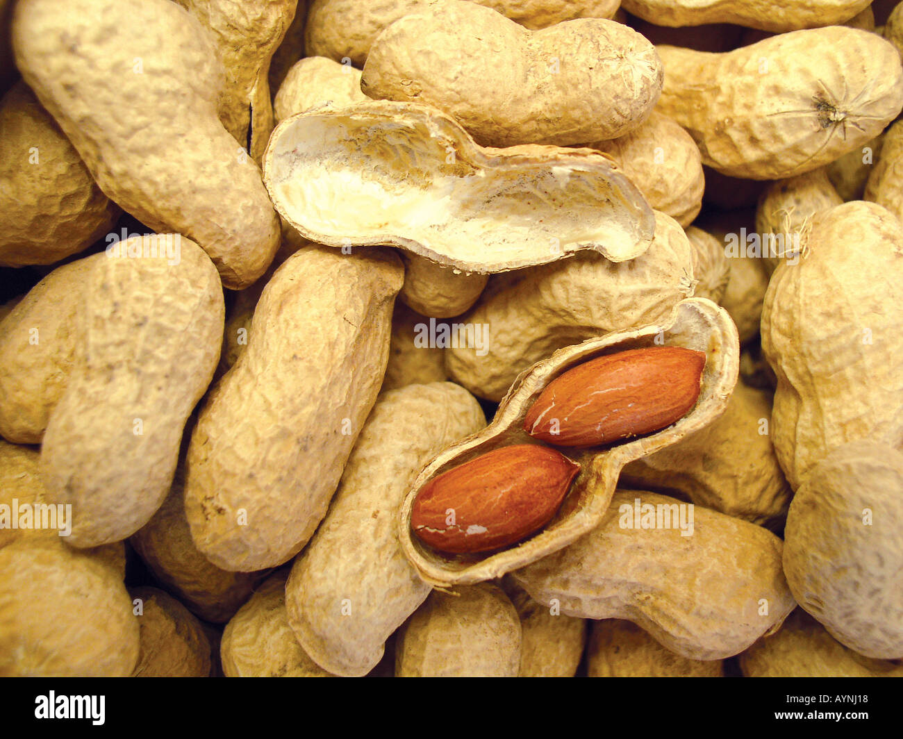 Erdnuesse Banque D'Images