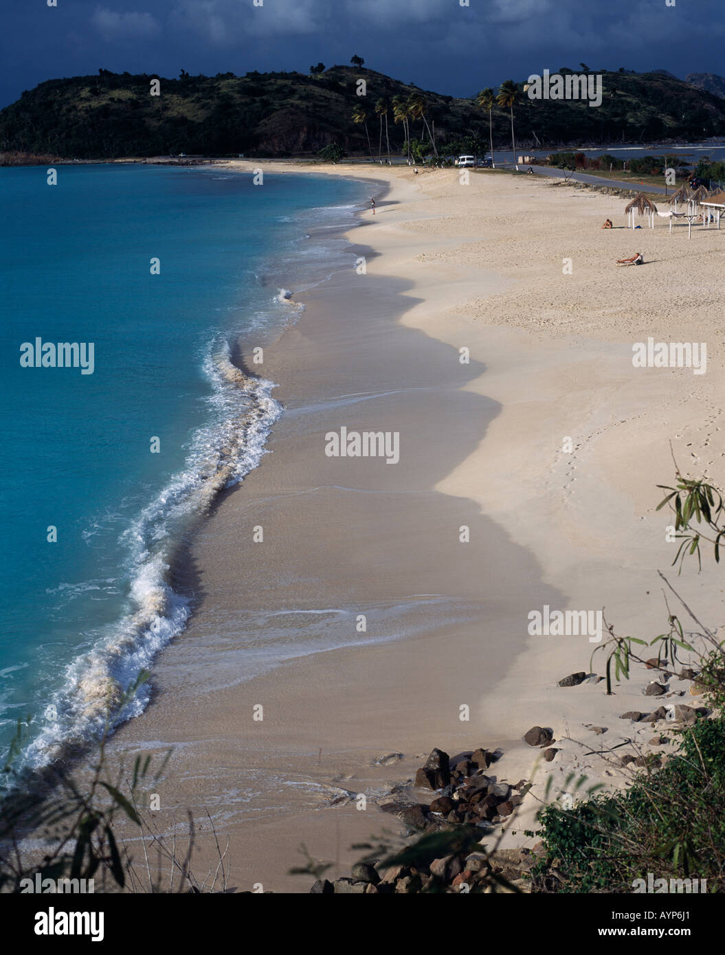 Antilles Antigua Bay Darkwood Banque D'Images
