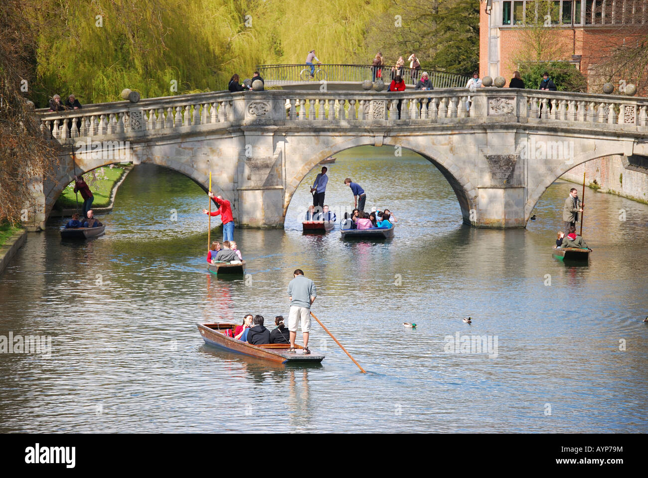 Barque sur étudiants Rivière Cam, Cambridge, Cambridgeshire, Angleterre, Royaume-Uni Banque D'Images