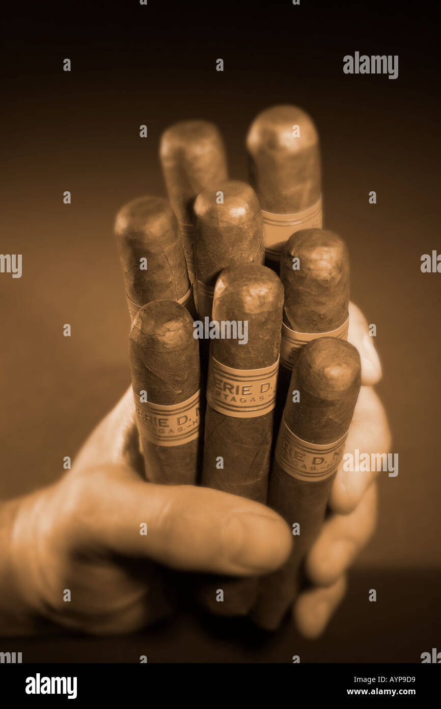 Homme main tenant huit cigares cubains Banque D'Images
