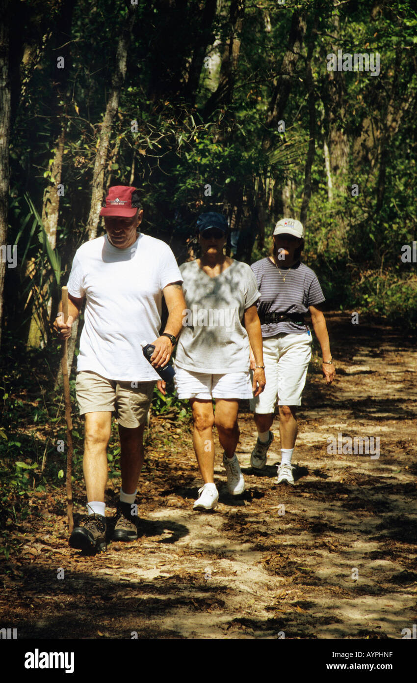 Randonneurs sur le sentier à travers les arbres Wekiwa Springs State Park Banque D'Images