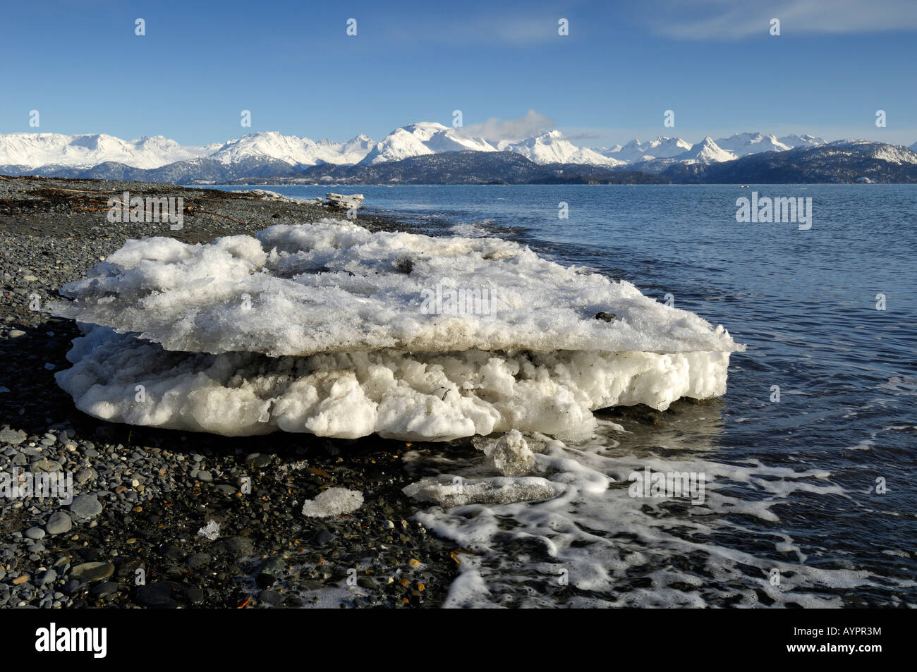 Banc de glace sur la rive de la baie Kachemak, péninsule de Kenai, Alaska, USA Banque D'Images