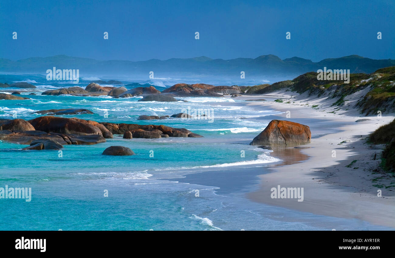 Plage de sable fin sur la côte près d'Albany, Australie occidentale, Australie Banque D'Images