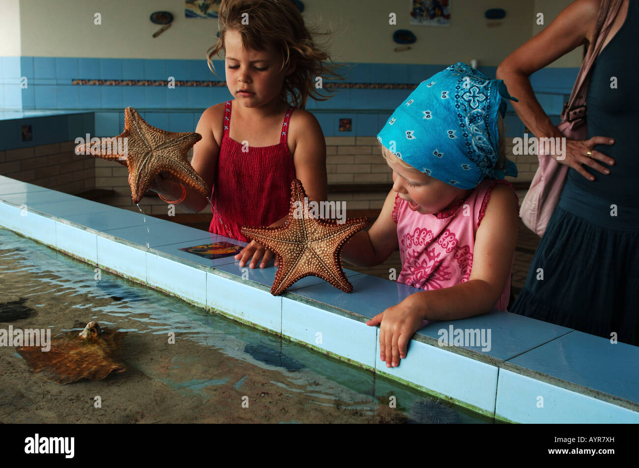 Antilles Neerlandaises Curacao Un Bebe Fille Ramasser Une Etoile De Mer De La Mer Aquarium Photo Stock Alamy