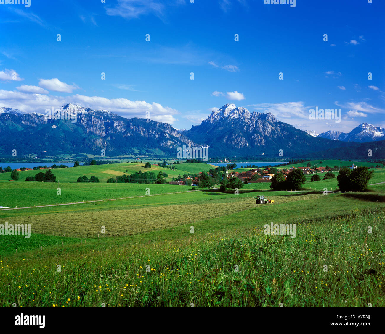 Rieden, lac Forggensee, East Allgaeu, Bavaria, Germany, Europe Banque D'Images