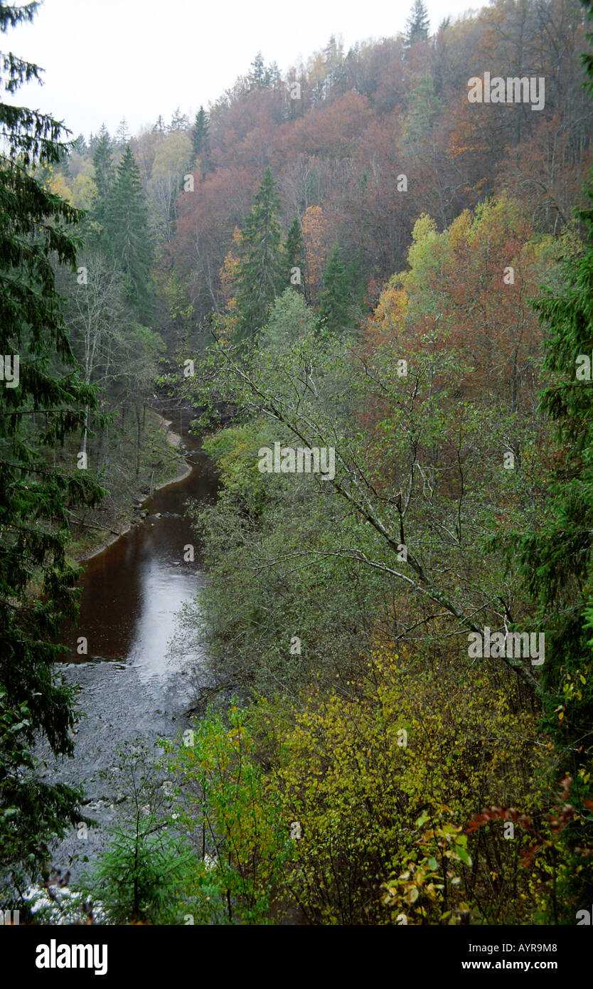 L'automne de pittoresque fleuve Amata dans le Parc National de Gauja Lettonie Banque D'Images