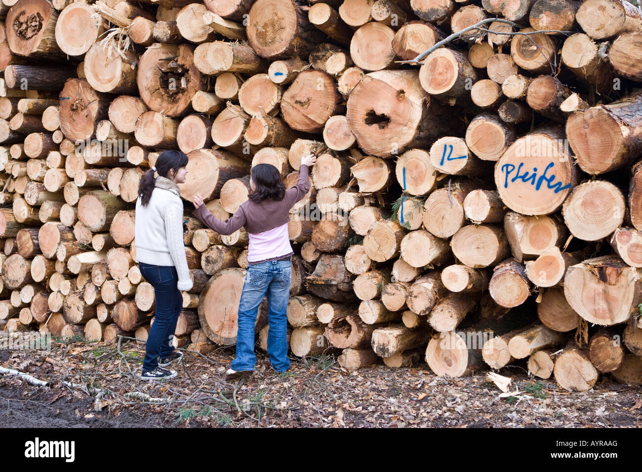 Les enfants debout devant un grand tas de billes, les arbres coupés après une tempête, Hesse, Allemagne Banque D'Images