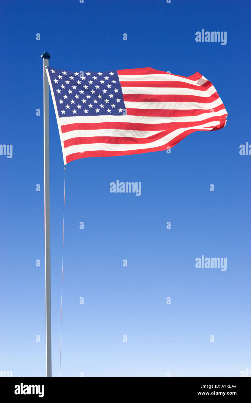 Brandir le drapeau américain Banque D'Images