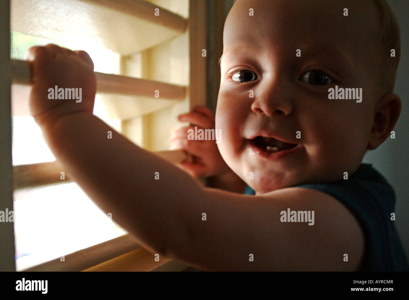 Portrait de huit mois baby boy looking through blinds Banque D'Images