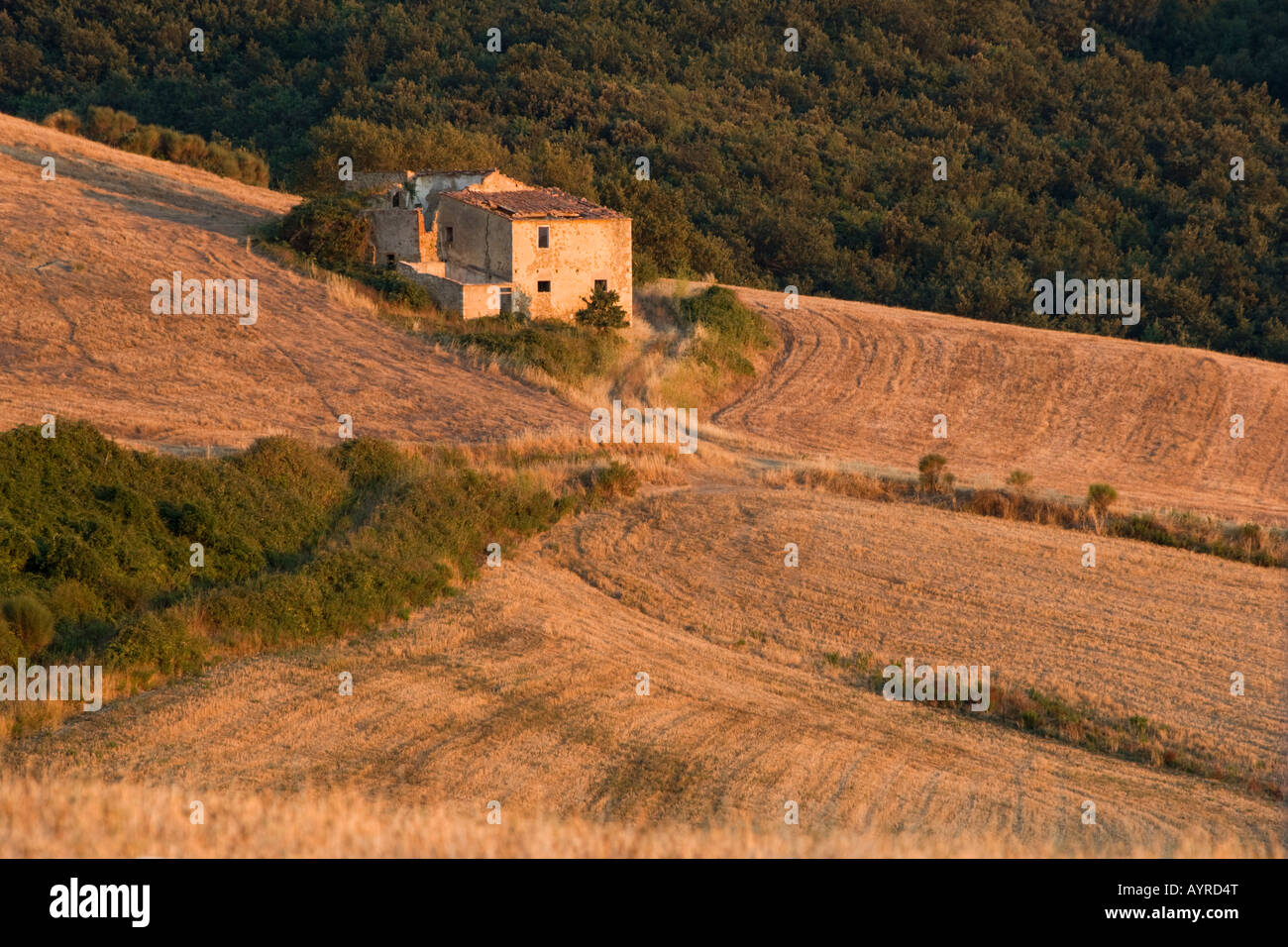 Vieille maison de campagne dans les collines de Toscane, Italie, Europe Banque D'Images