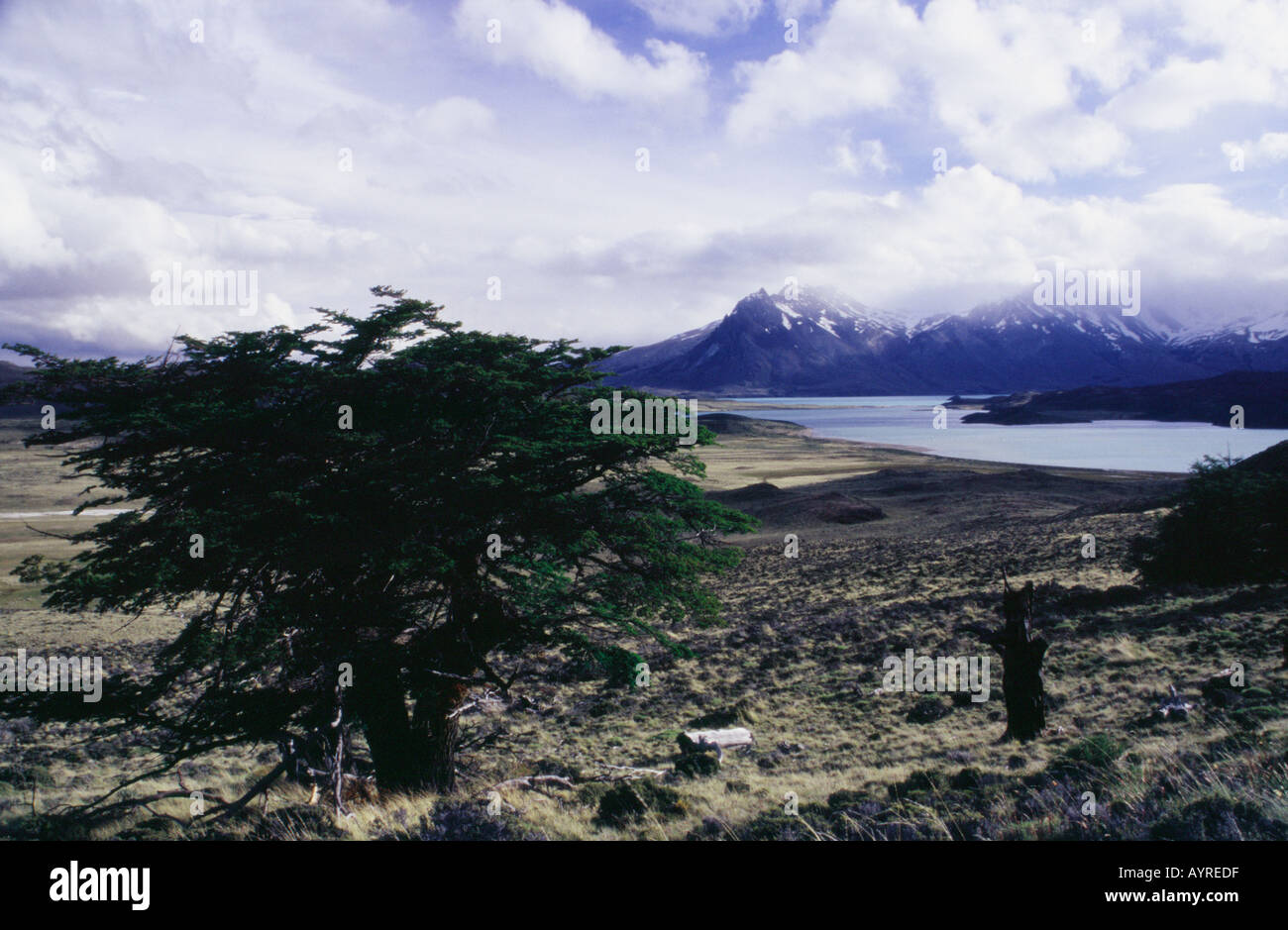 La Patagonie argentine Décembre 2003 Belgrano Lake dans le Parc National Perito Moreno Santa Cruz Banque D'Images