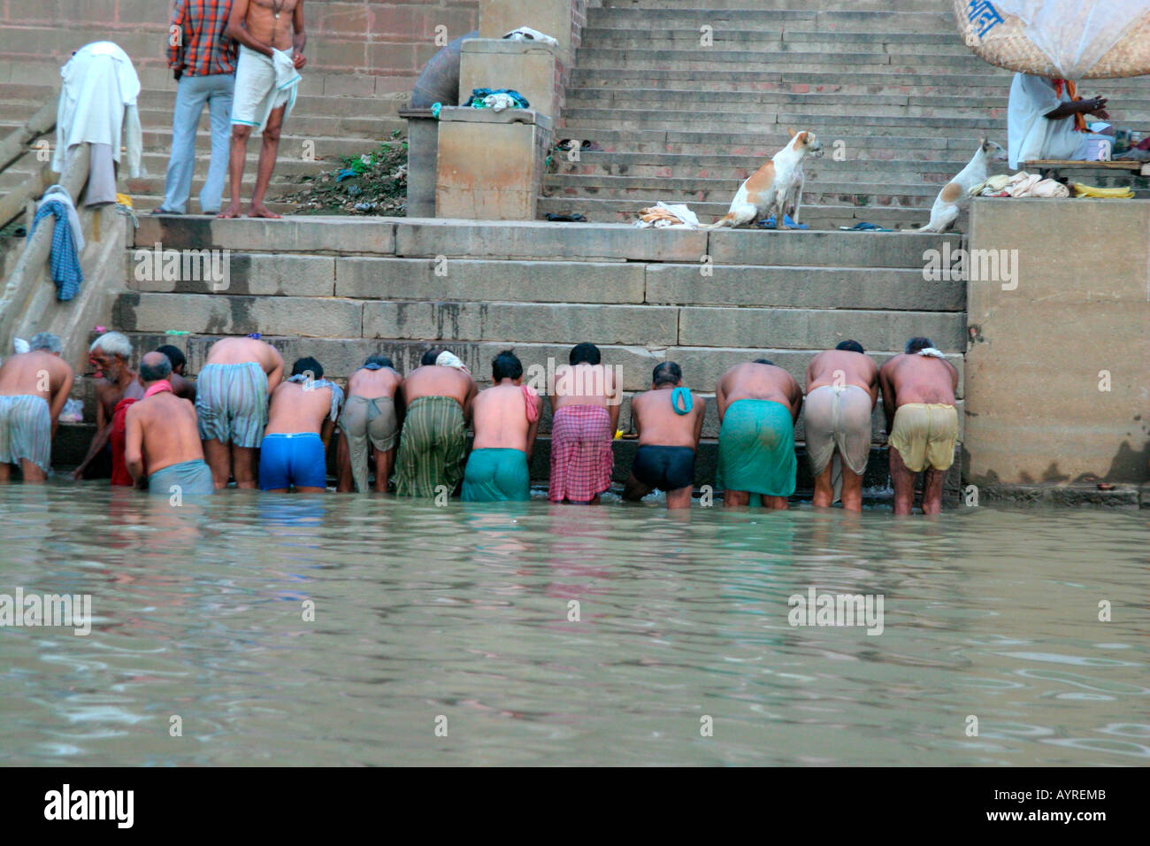 Les gens prier dans le Gange à l'Varanasi Ghat, Benares, Inde Banque D'Images