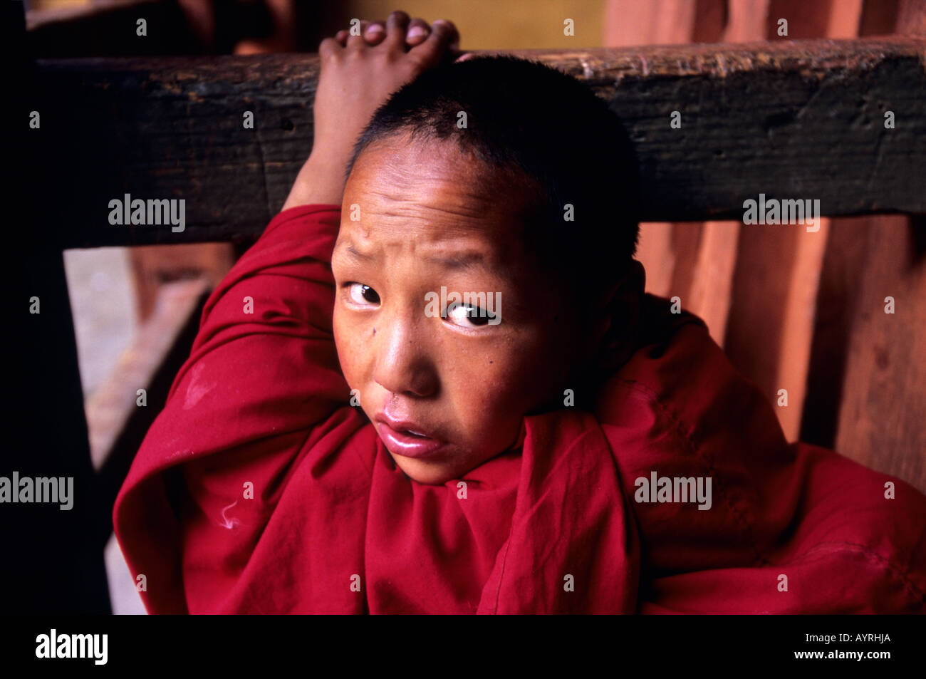 Portrait d'un jeune moine dans le Dzong, le Bhoutan Banque D'Images