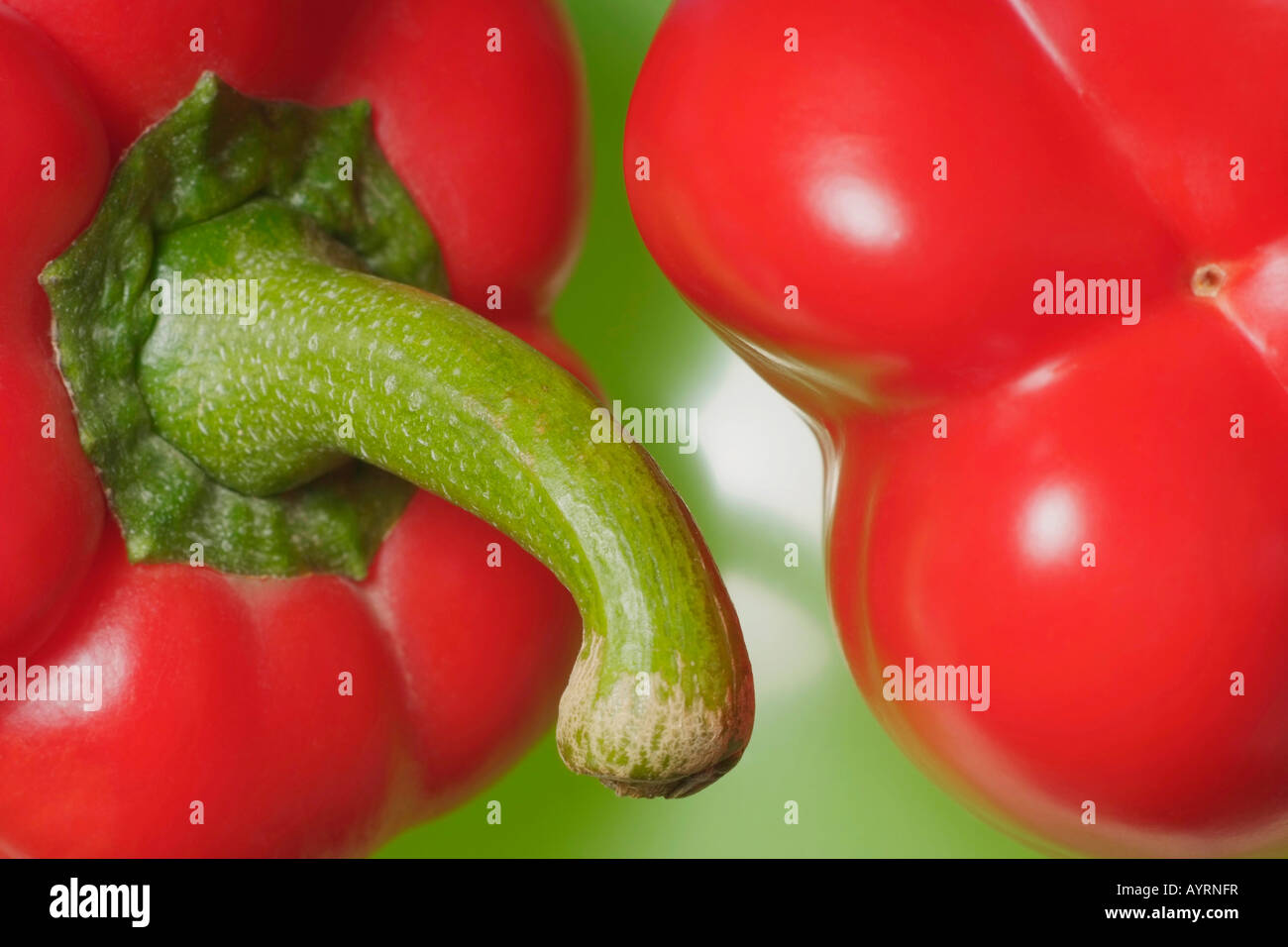 Poivrons rouges (Capsicum), détail Banque D'Images