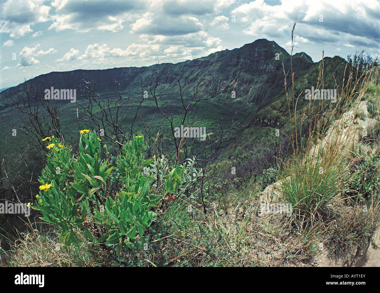 La crête du sommet du cratère du Mont Longonot et le Kenya Afrique de l'Est Banque D'Images