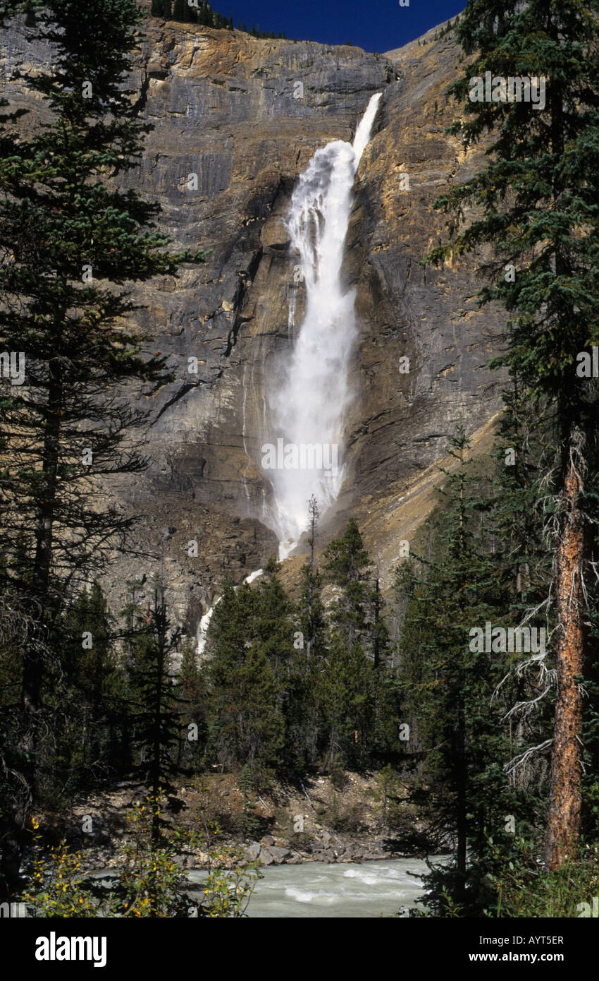 Les chutes Takakkaw Parc national Yoho Colombie-Britannique Les Rocheuses Canada Banque D'Images