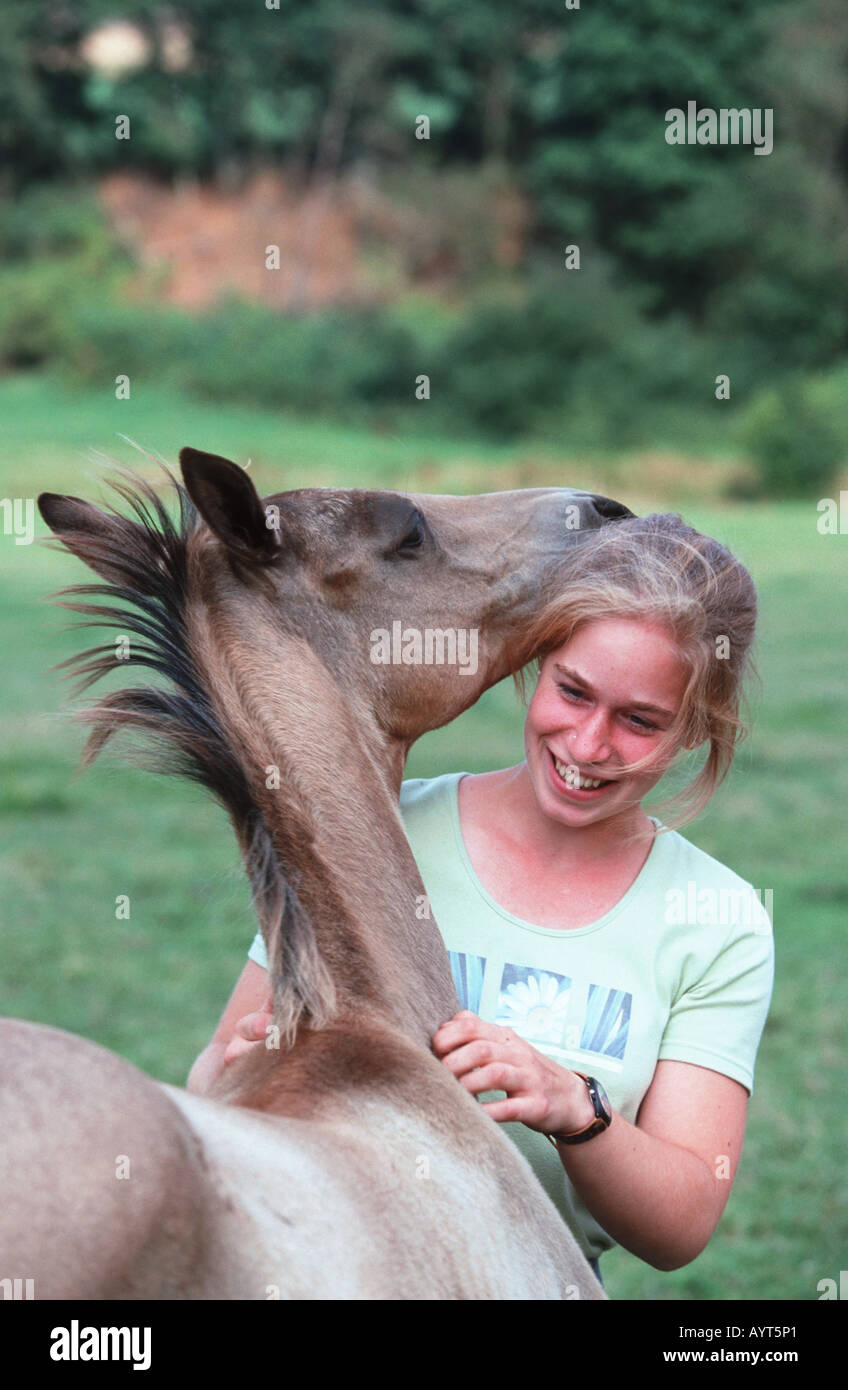 Achal Tekkiner Akhal Téké Banque D'Images