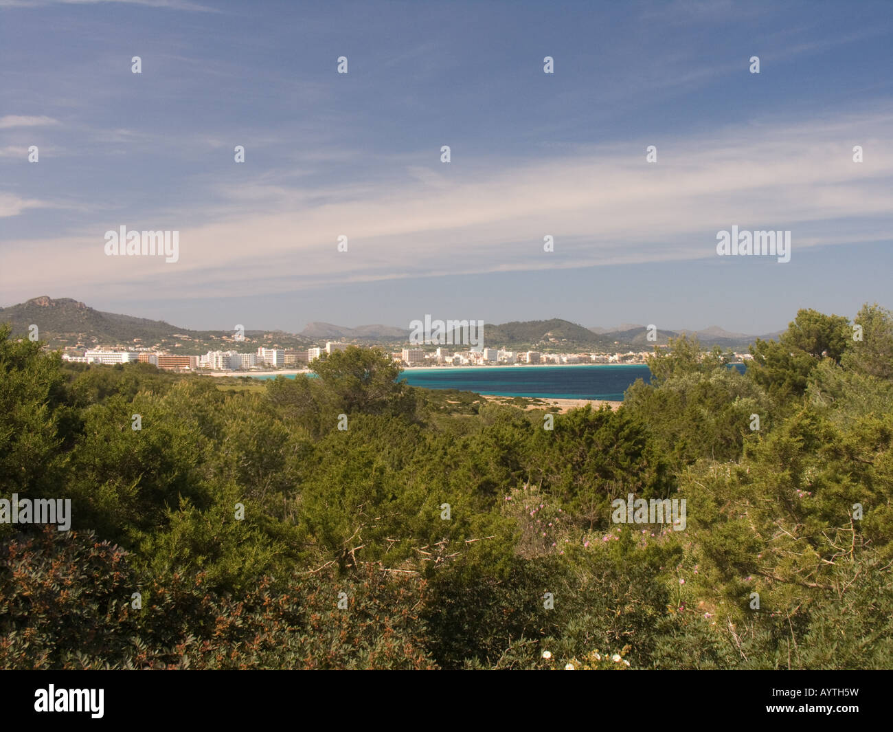 Vue sur Cala Millor avec arbres en premier plan Banque D'Images