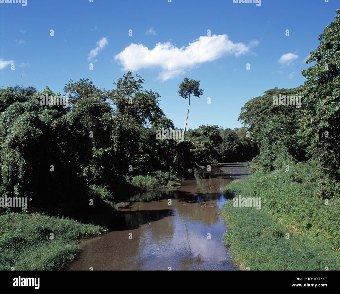 Flusslandschaft Rio San Juan, Dominikanische Republik Banque D'Images